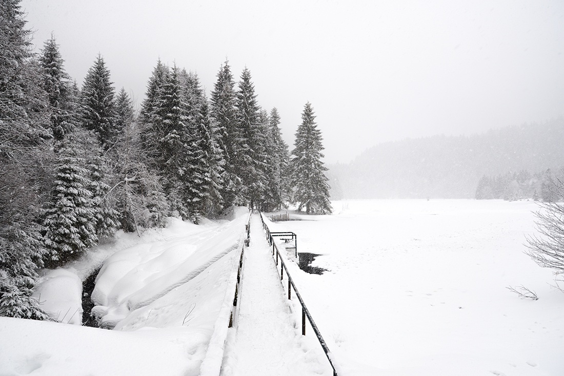lac de Lispach, Vosges, hiver, neige