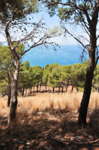 visite de cefalu, road-trip en sicile, rocca