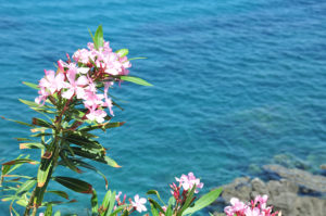 visite de cefalu, road-trip en sicile, rocca