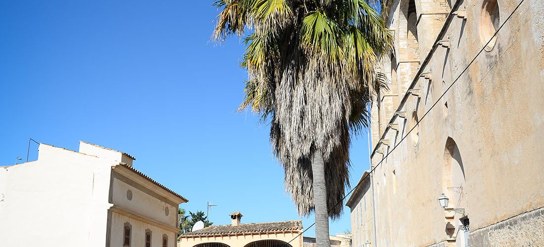 visite d'artà, nord de majorque