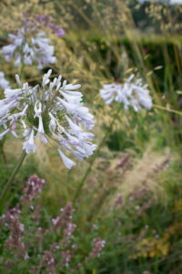 visite des jardins de bodnant gardens,, pays de galles, snowdonia
