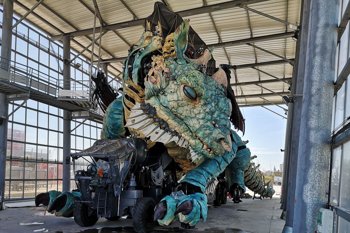 dragon de calais dans le pas-de-calais