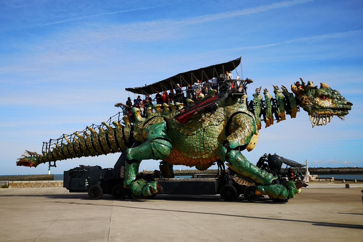dragon de calais dans le pas-de-calais
