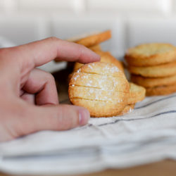 Recette des nieulles d'Armentières, hauts-de-france