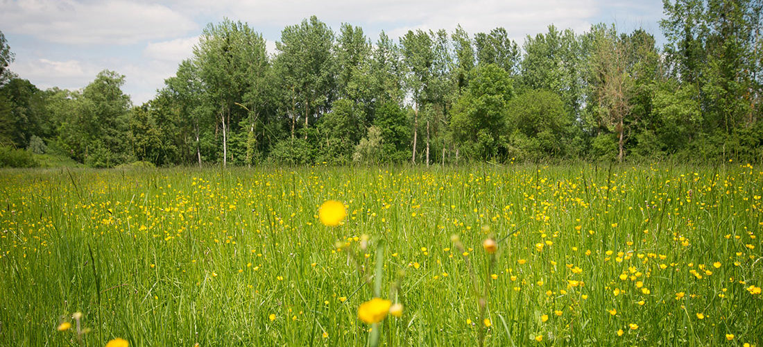 La vallée de l’Oise : Séry-les-Mézières, Châtillon-sur-Oise