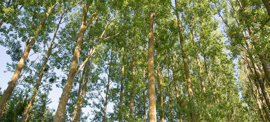 randonnée de la rayère d'alaincourt, aisne