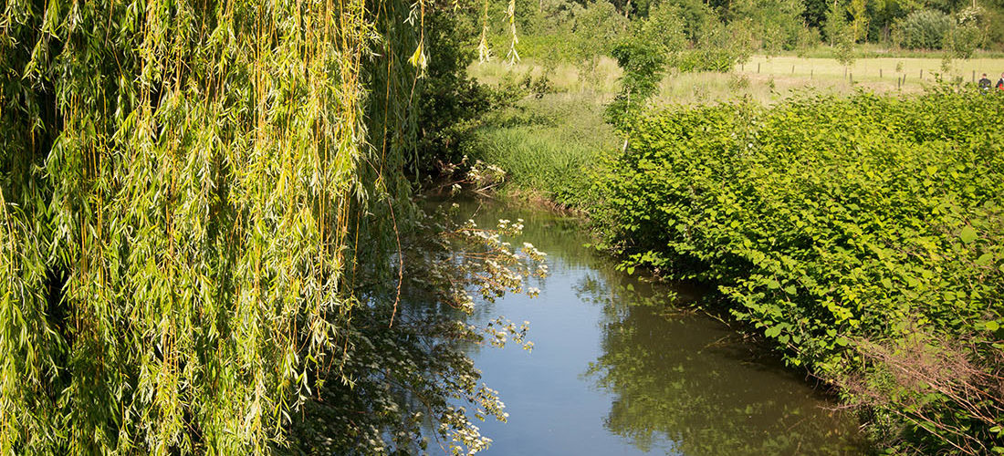 randonnée de la rayère d'alaincourt, aisne