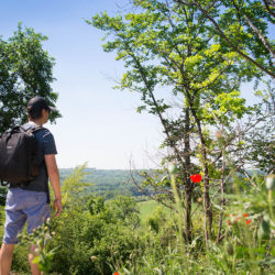 randonnée des creuttes de neuville, chamouille, aisne