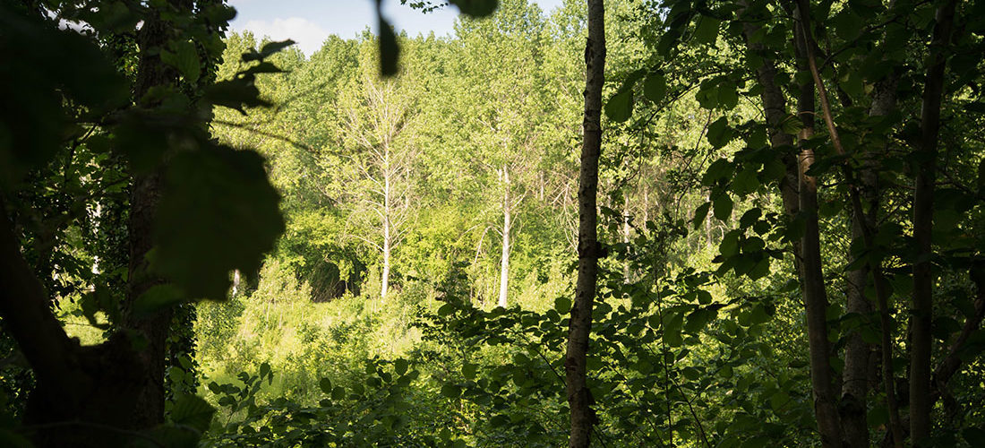 randonnée de Saint-Martin des Prés à Trefcon