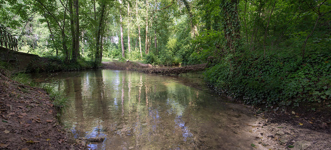randonnée de Saint-Martin des Prés à Trefcon