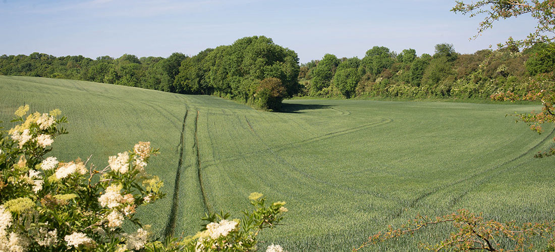 randonnée de la salette, guise, aisne