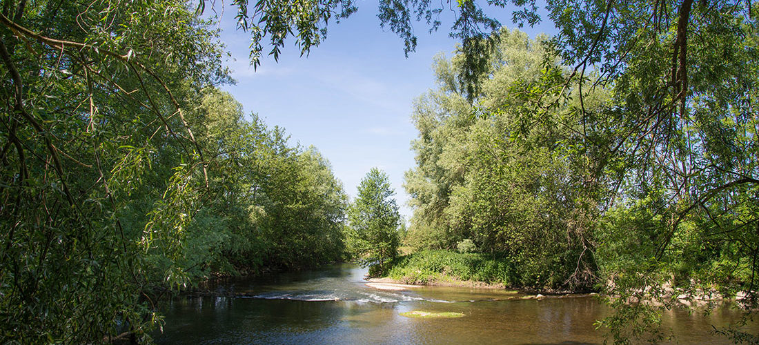 randonnée de la salette, guise, aisne