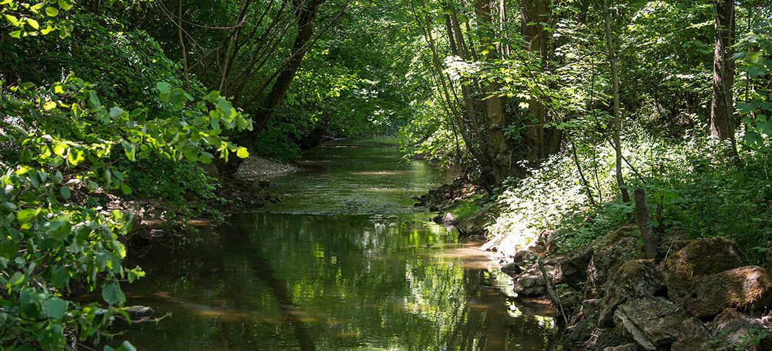 randonnée de la salette, guise, aisne