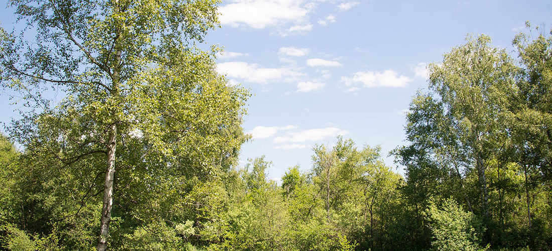 La vallée de la Somme : autour de Seraucourt-le-Grand, randonnée, aisne
