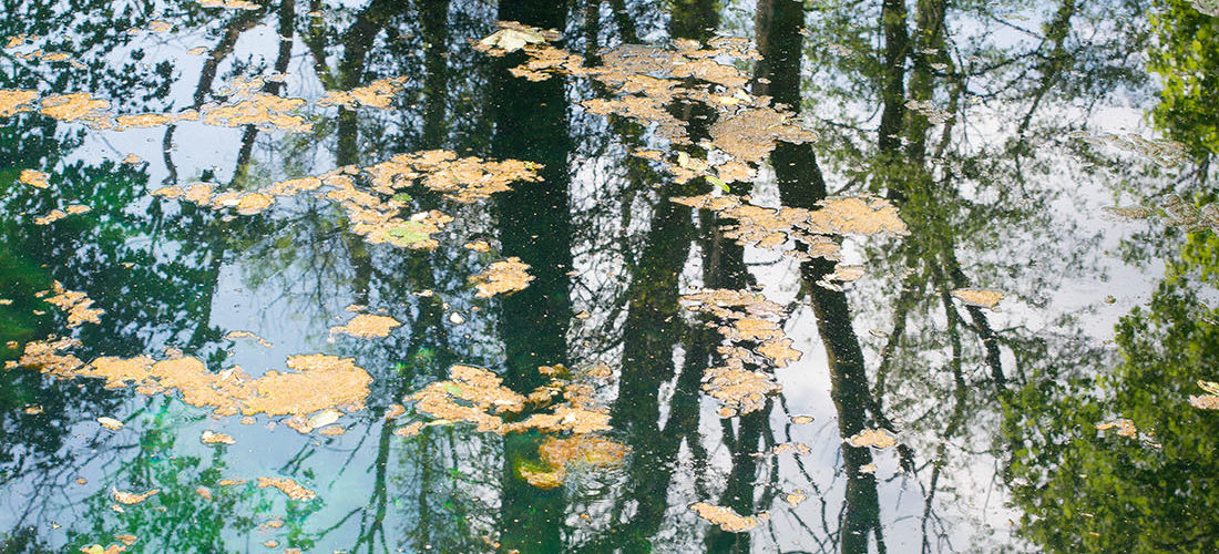 randonnée de la source de l'escaut, gouy, aisne