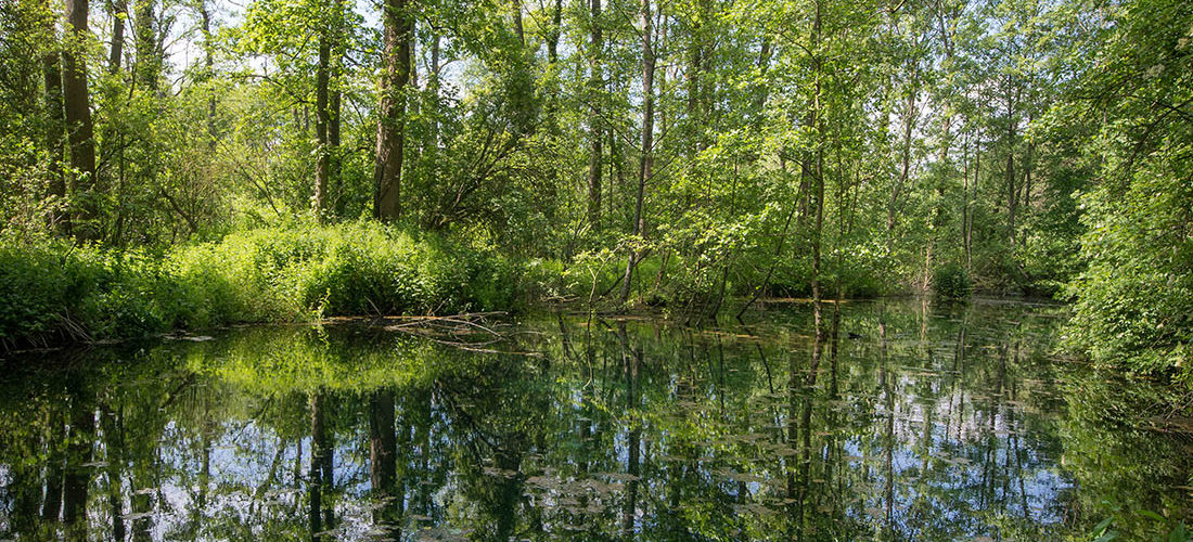 randonnée de la source de l'escaut, gouy, aisne