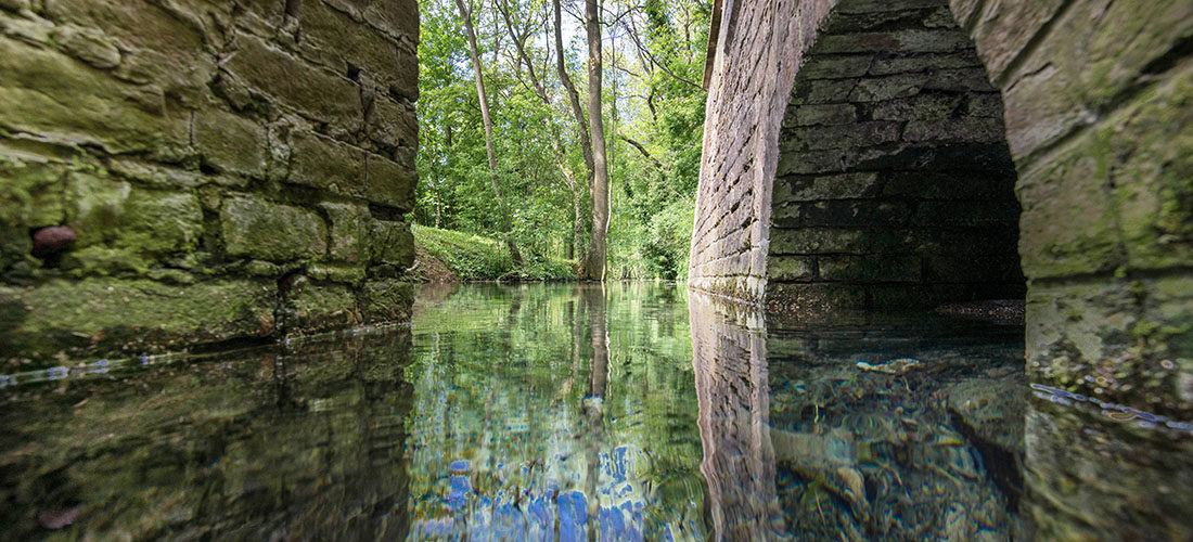 randonnée de la source de l'escaut, gouy, aisne