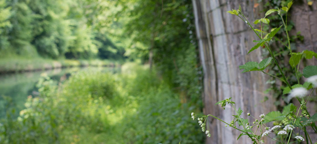visite et randonnée autour du touage de riqueval, aisne