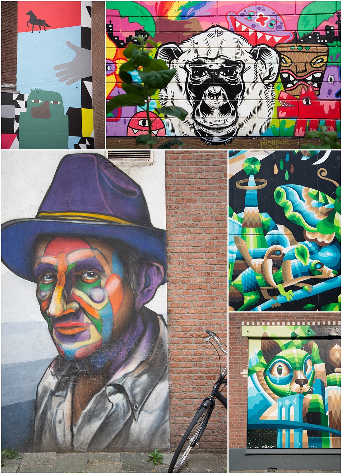 street-art, rotterdam