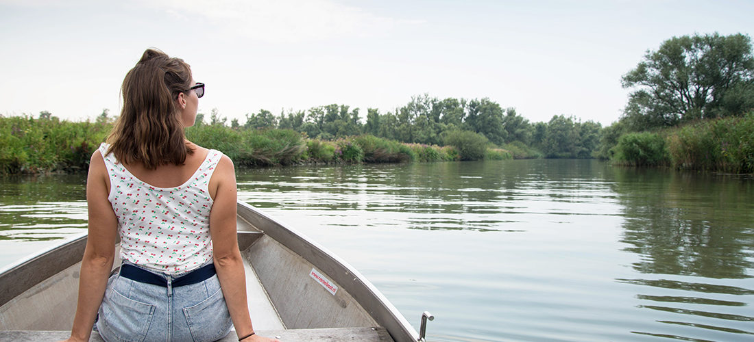 visiter le Parc du Biesbosch, pays-Bas , en bateau