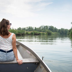 visiter le Parc du Biesbosch, pays-Bas , en bateau