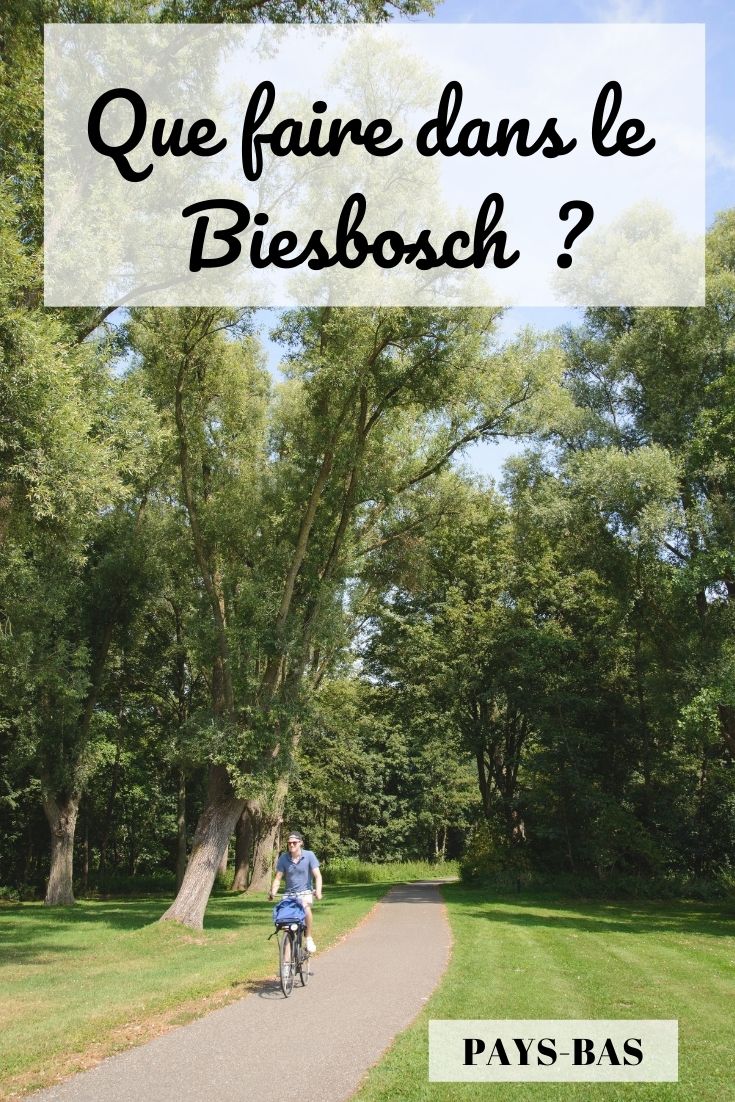 que faire lors d'un week-end à Dordrecht et dans le parc du Biesbosch, Pays-Bas