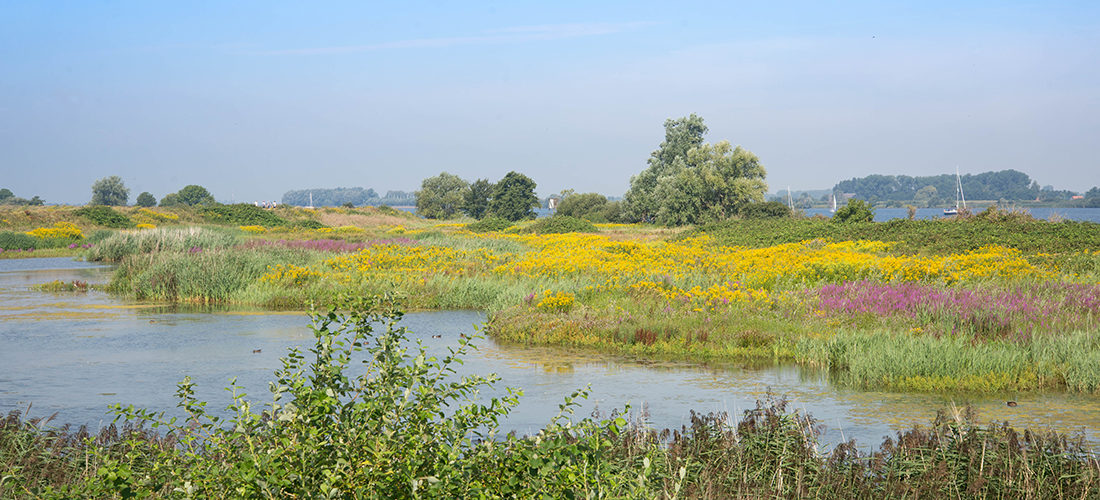 visiter tiengemeten, nl delta, parc national, pays-bas