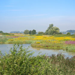 visiter tiengemeten, nl delta, parc national, pays-bas