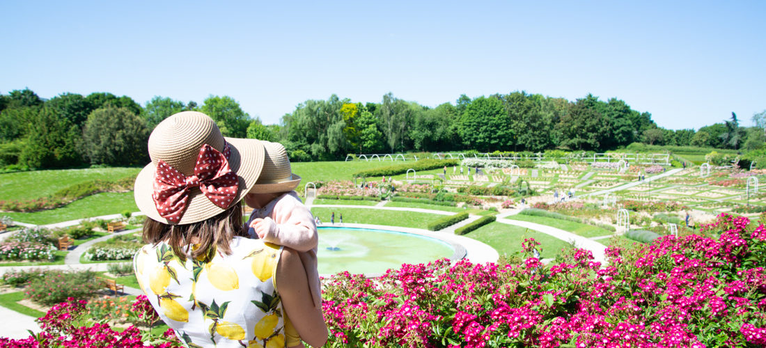 Que voir, que faire lors d’un week-end à Caen en Normandie ? que voir, que faire à caen, colline aux oiseaux