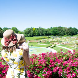 que voir, que faire à caen, colline aux oiseaux