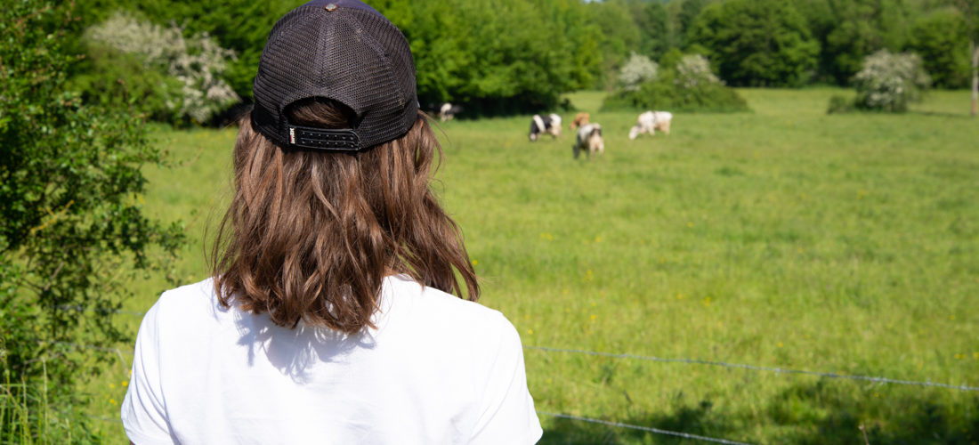 que voir, que faire dans l'Aisne en Thiérache