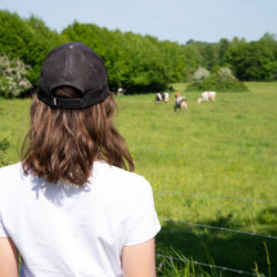 que voir, que faire dans l'Aisne en Thiérache