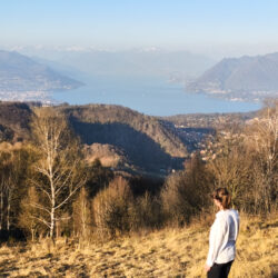 Vue sur le lac Majeur depuis le point de vue des Tre Montagnette