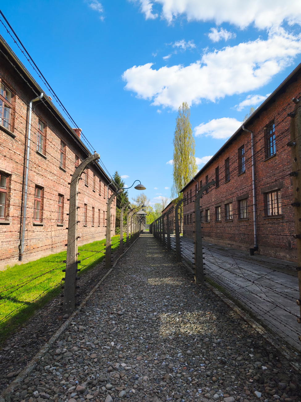 Auschwitz-Birkenau, pologne