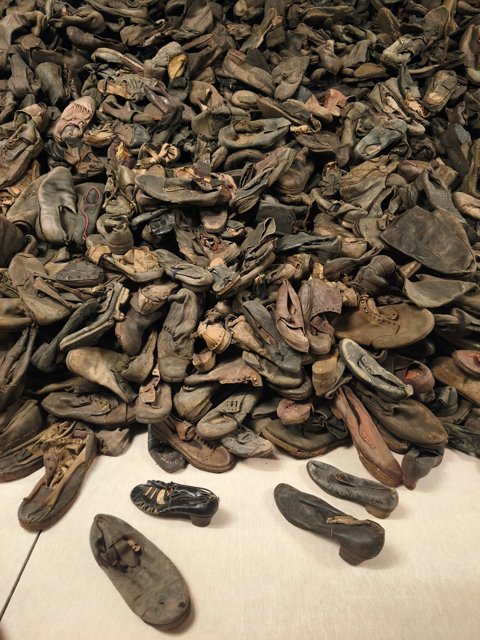 Auschwitz-Birkenau, pologne