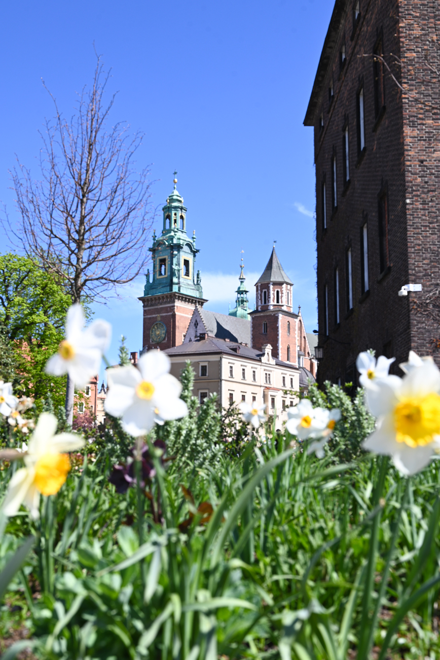 colline du wawel, cracovie