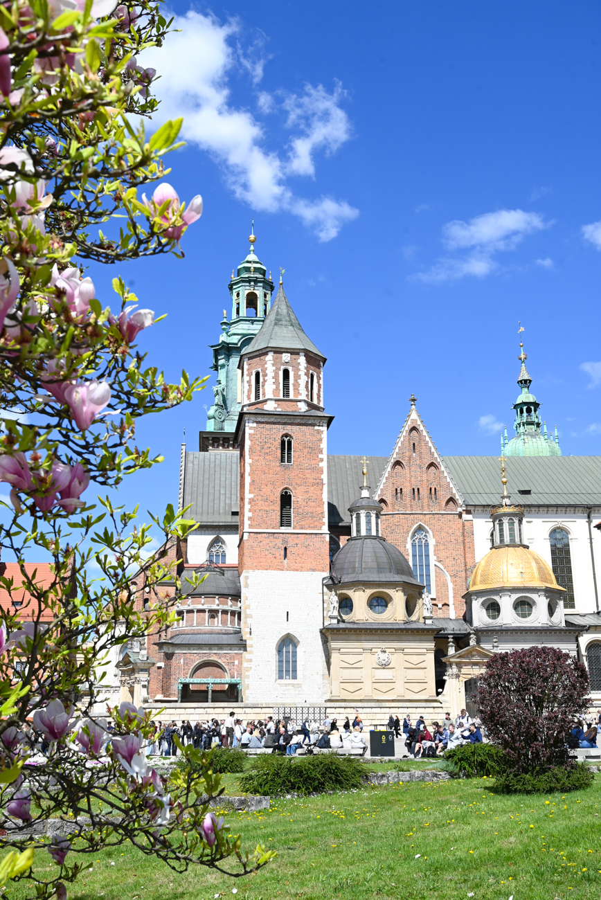 colline du wawel, cracovie