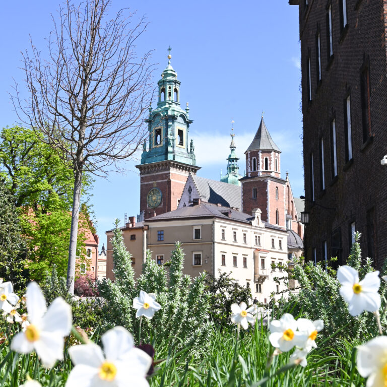 une semaine en pologne autour de cracovie