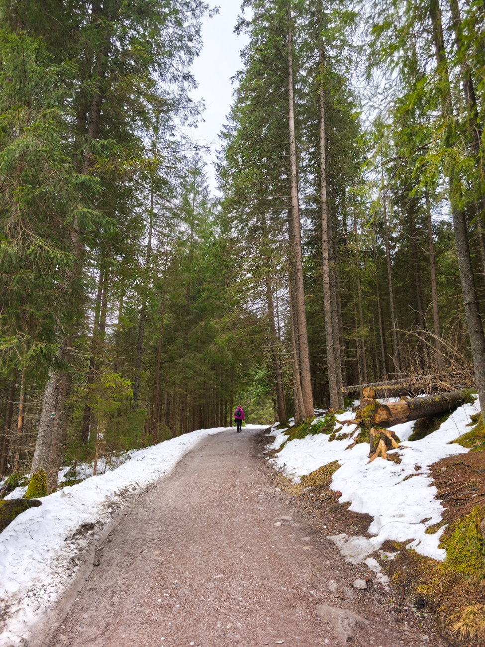 vallée de Kościeliska, pologne