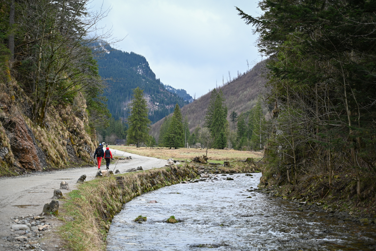vallée de Kościeliska, pologne