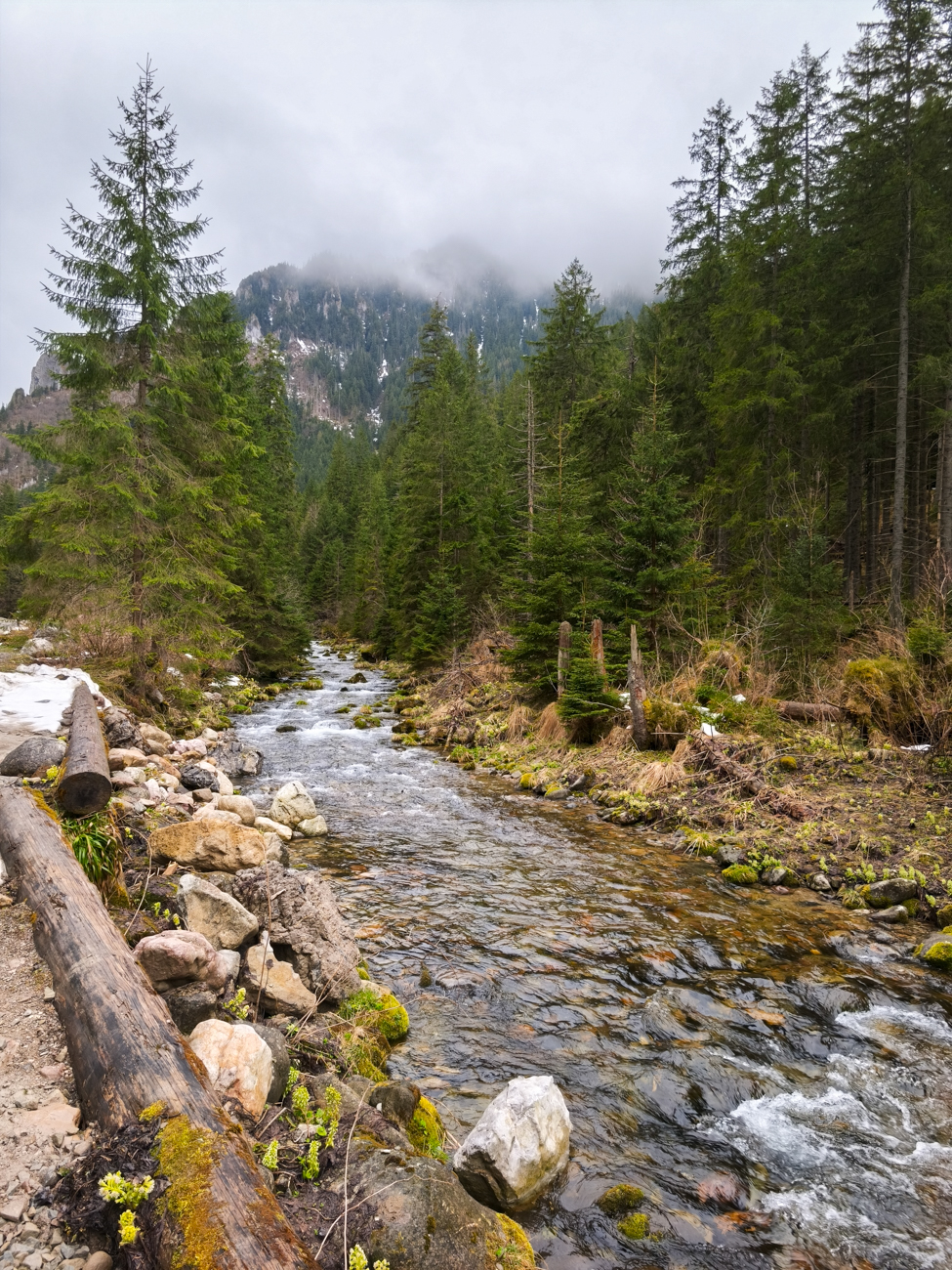 vallée de Kościeliska, pologne
