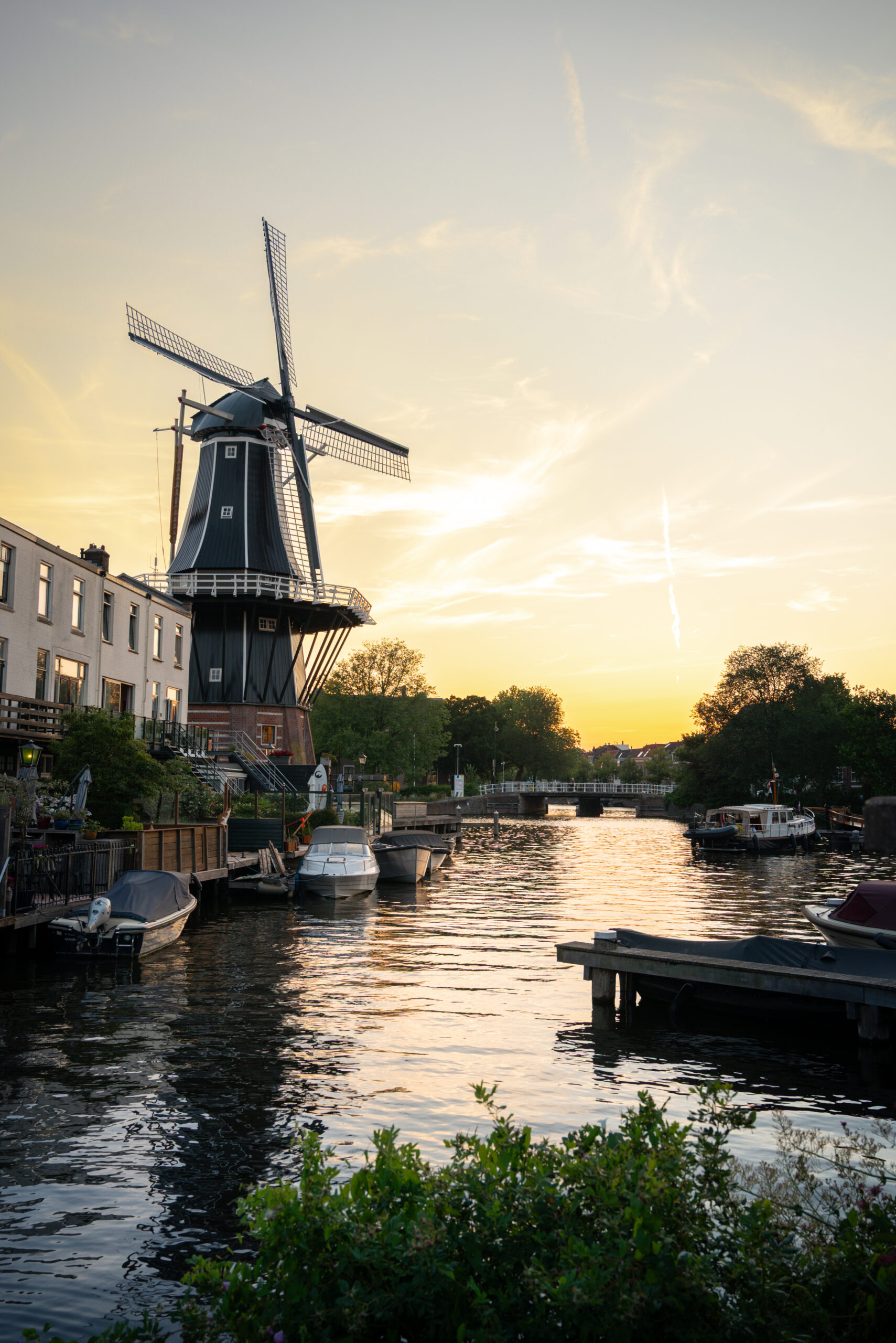 visiter harleem aux pays-bas, que voir, que faire