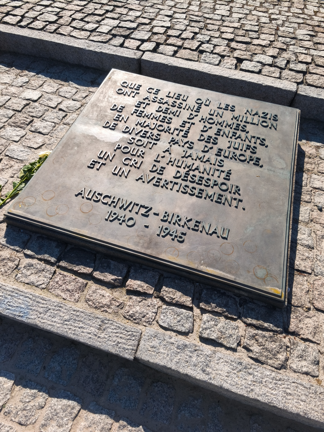 Auschwitz-Birkenau, pologne, visite, expérience, avis