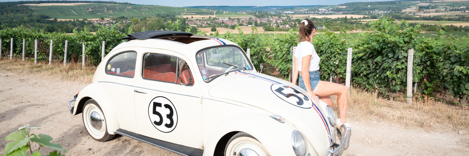 visite de la Maison Levêque-Dehan , champagne dans le sud de l'aisne