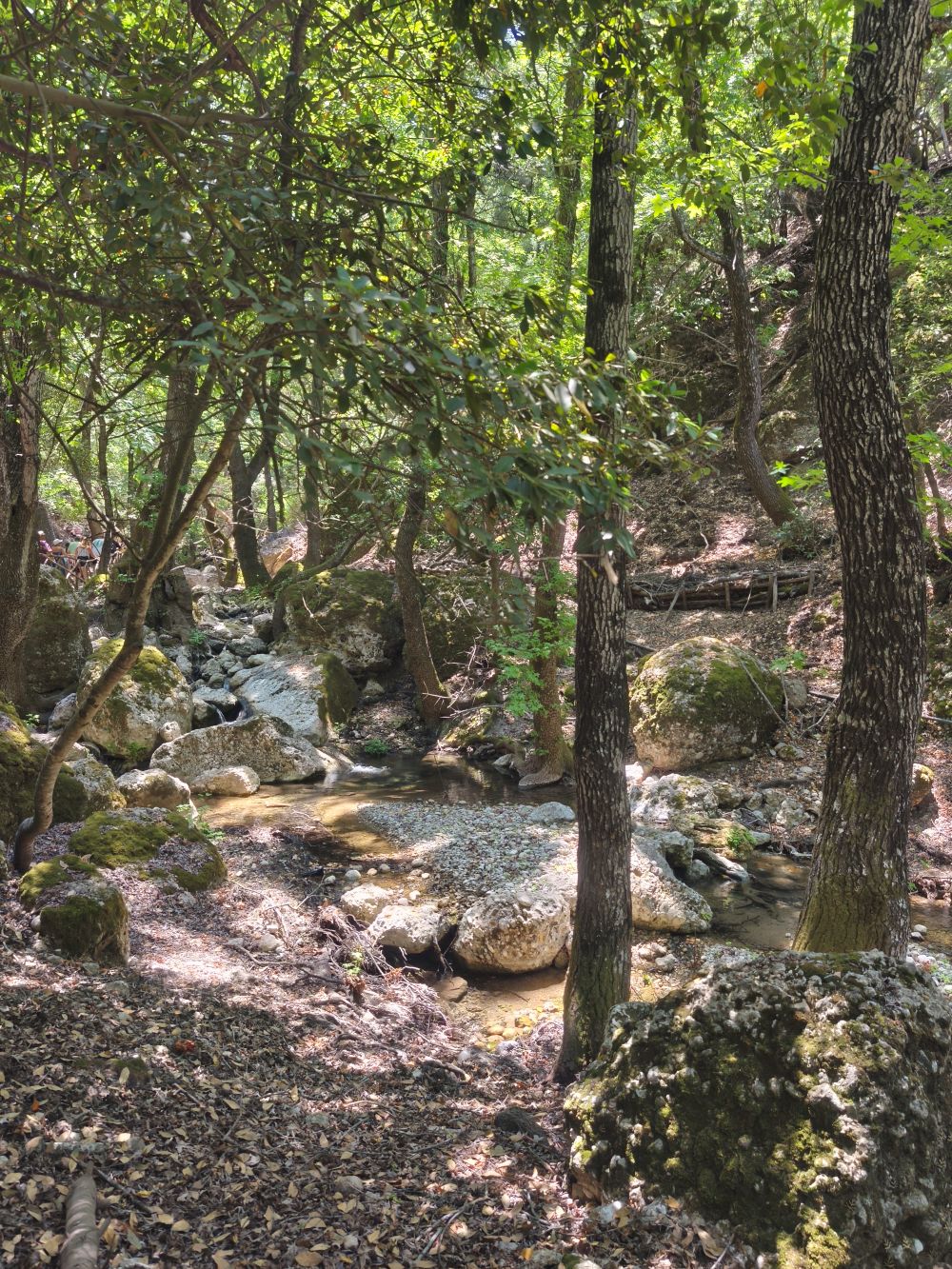 visiter la vallée des papillons à rhodes, mes conseils