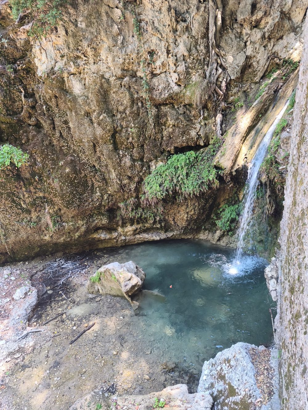 visiter la vallée des papillons à rhodes, mes conseils