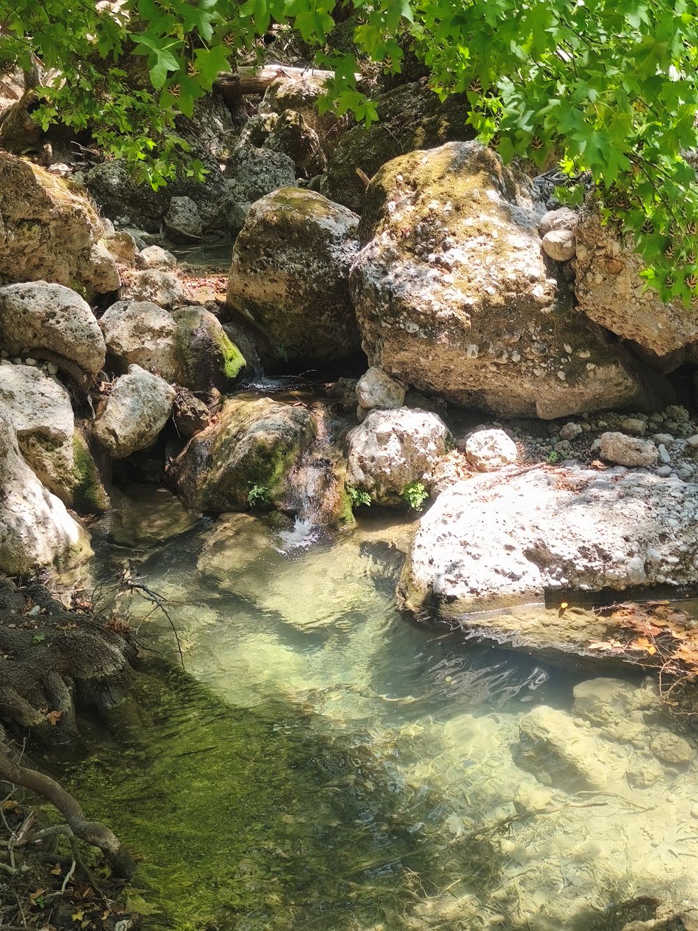 visiter la vallée des papillons à rhodes, mes conseils