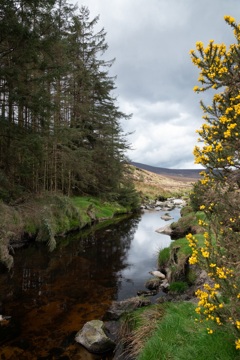 Glenmacnass Waterfall : voir l'une des plus belles cascades d'Irlande