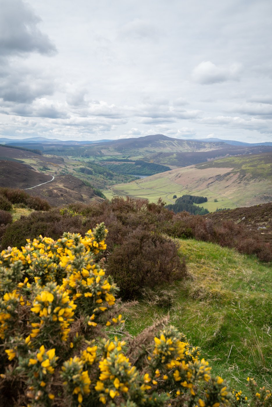 military road, wicklow mountains