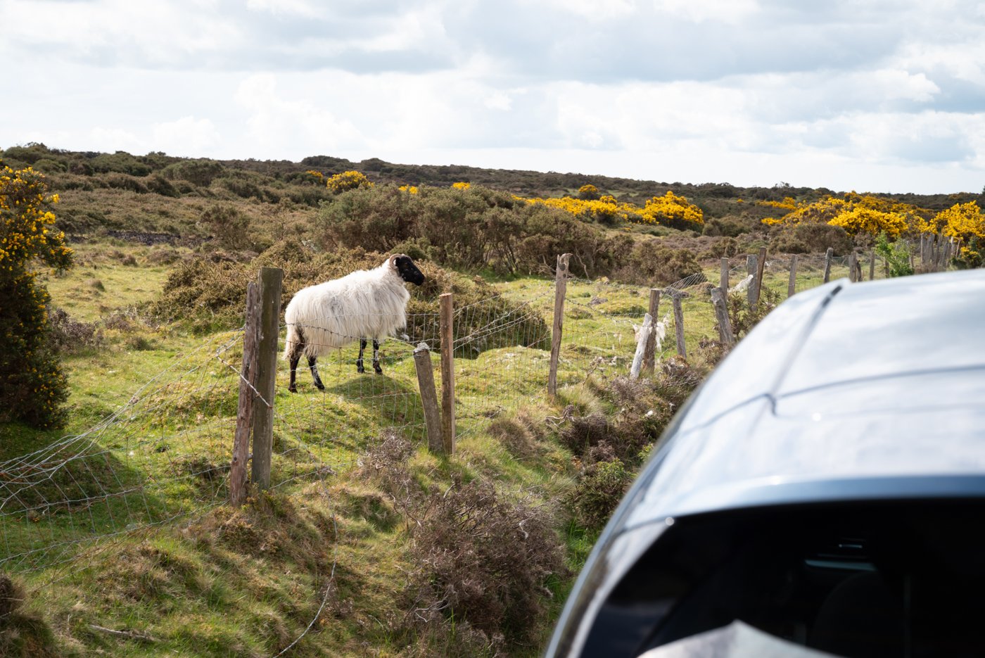 military road, wicklow mountains